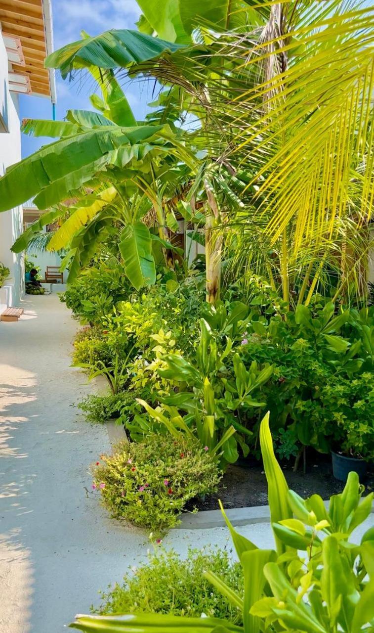 Seaside Dhigurah Ξενοδοχείο Dhigurah  Εξωτερικό φωτογραφία